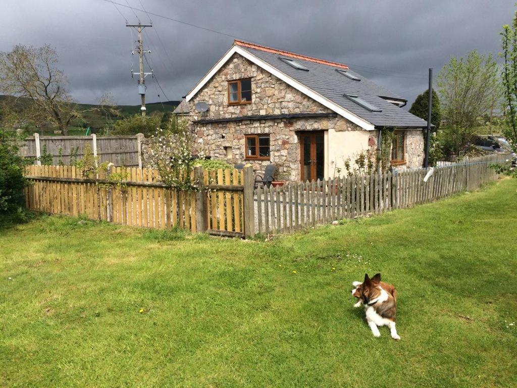 Ty Gylfinir Villa Llandegla Eksteriør billede